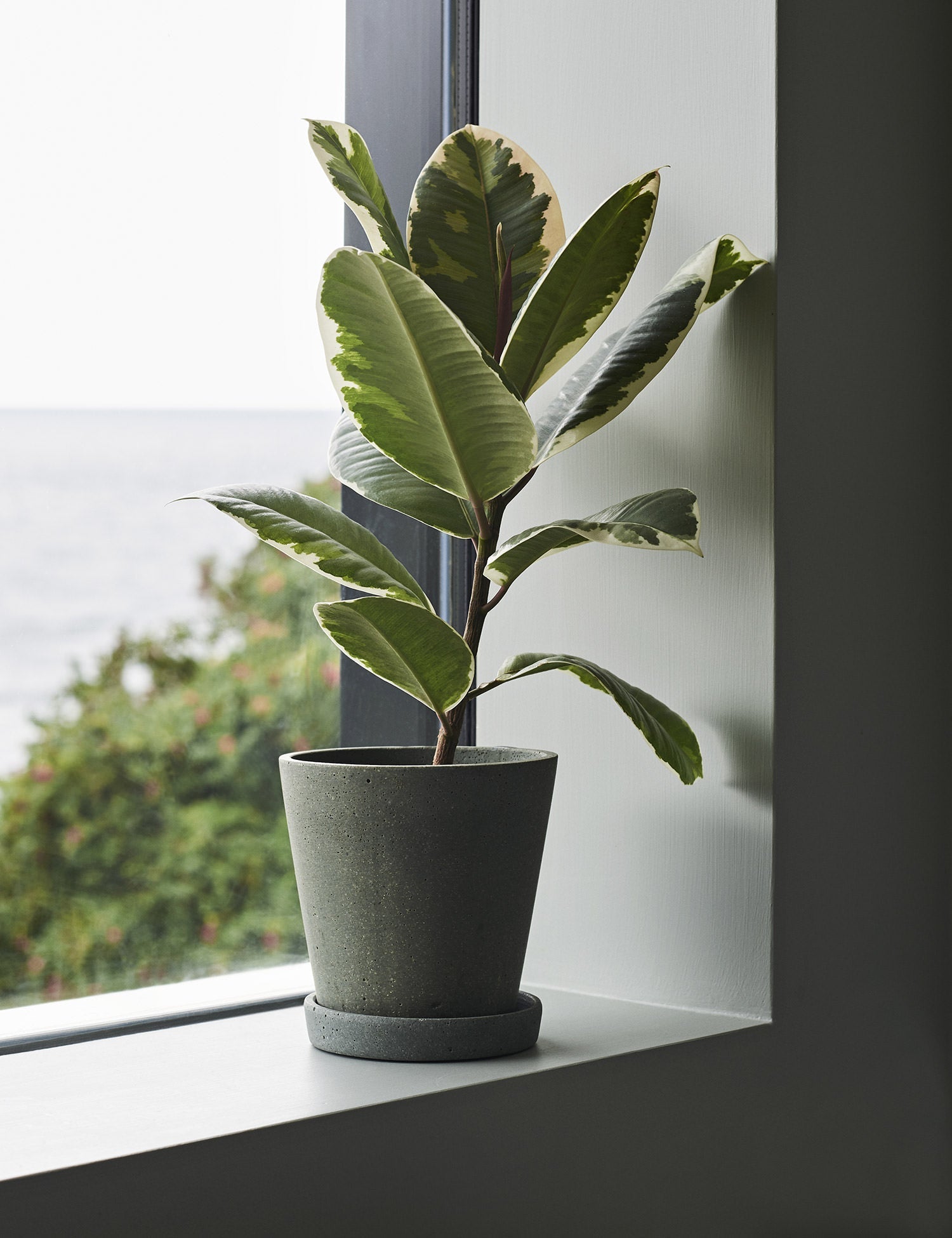 Flowerpot with Saucer